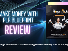 Turning Content into Cash Mastering the Make Money with PLR Blueprint