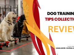 Fur-tastic Training: Elevate Your Dog's Behavior with Expert Tips